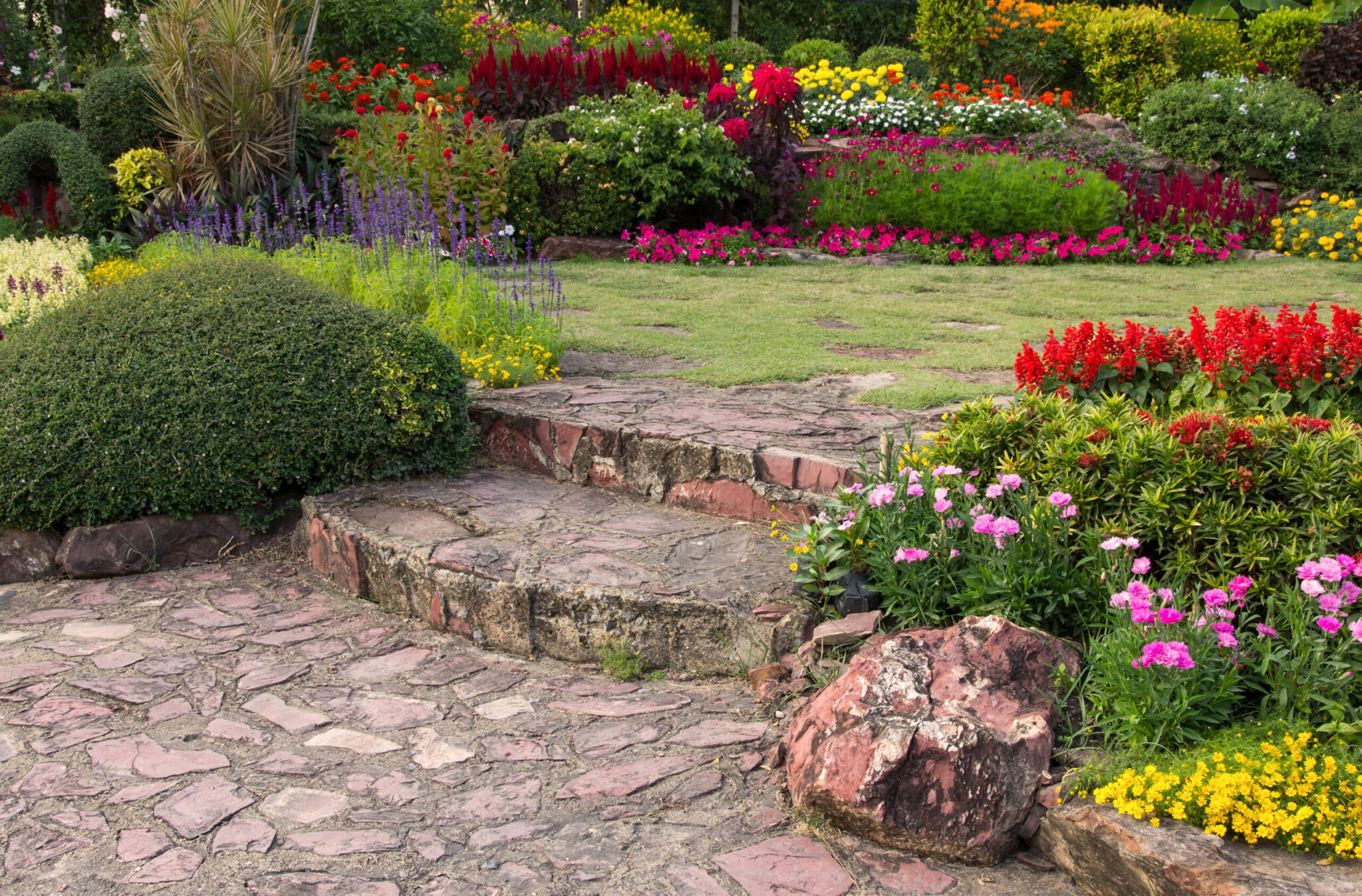 Los mejores 5 tipos de jardines para tu casa