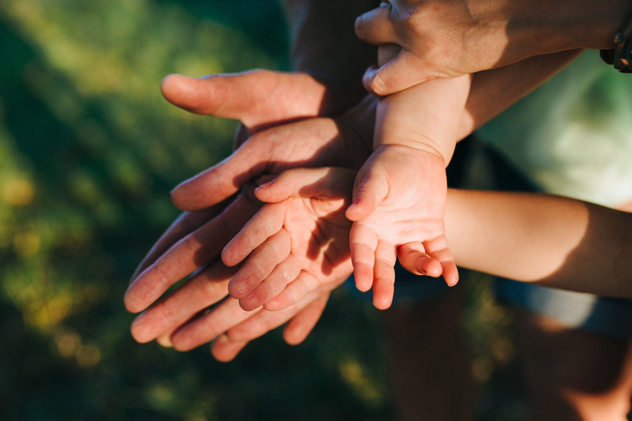 ¿Cuáles son las diferencias entre el derecho de familia y el derecho matrimonial?