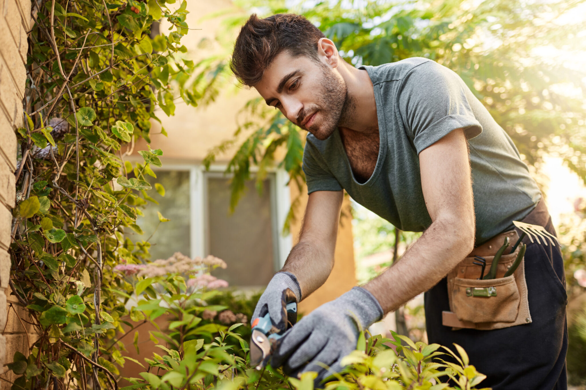 Quiero podar los árboles de mi jardín pero, ¿cuándo es la época de poda de árboles?