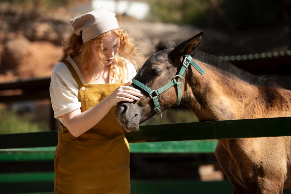 comprar o vender un caballo asesoramiento