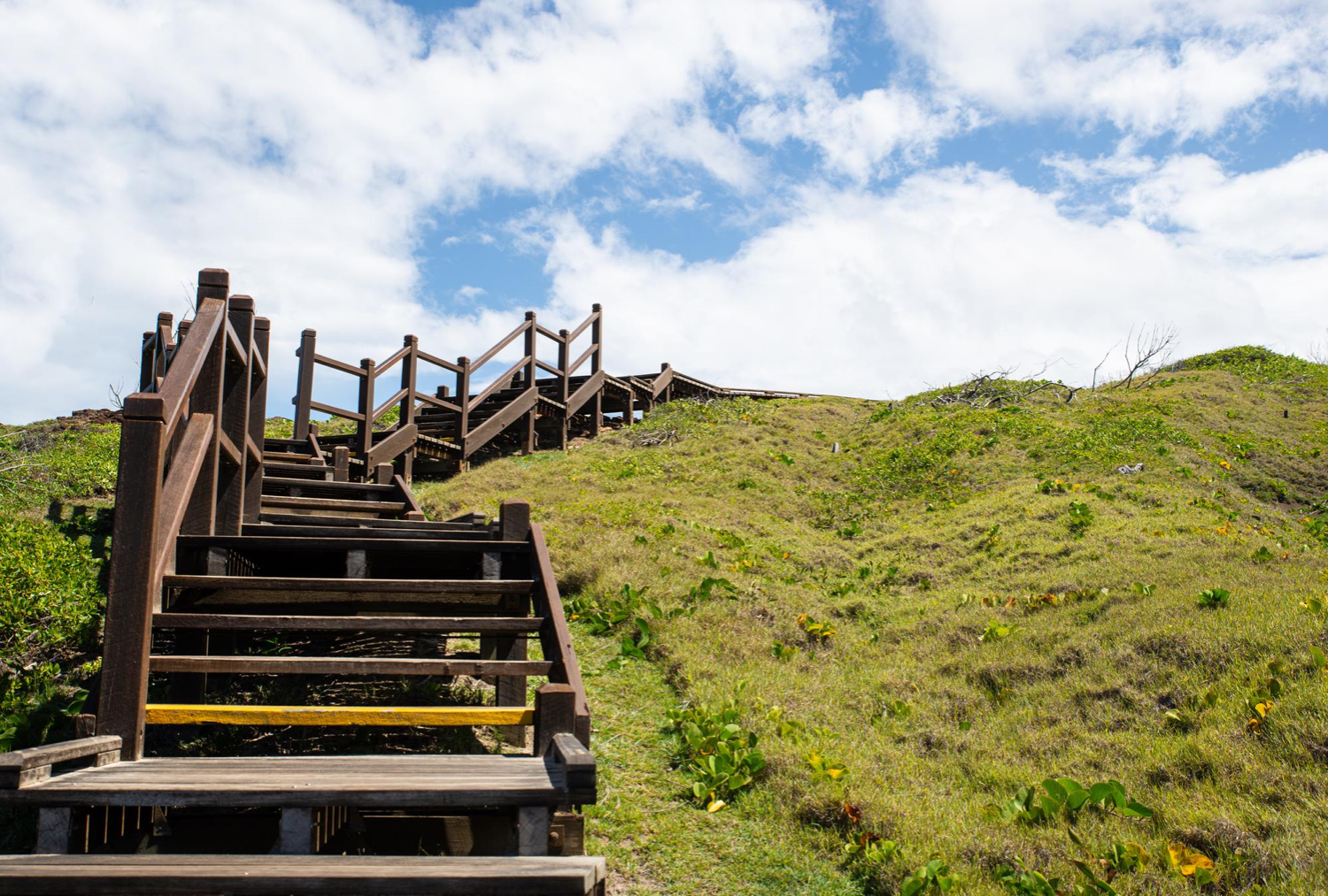 tipos de madera para escaleras