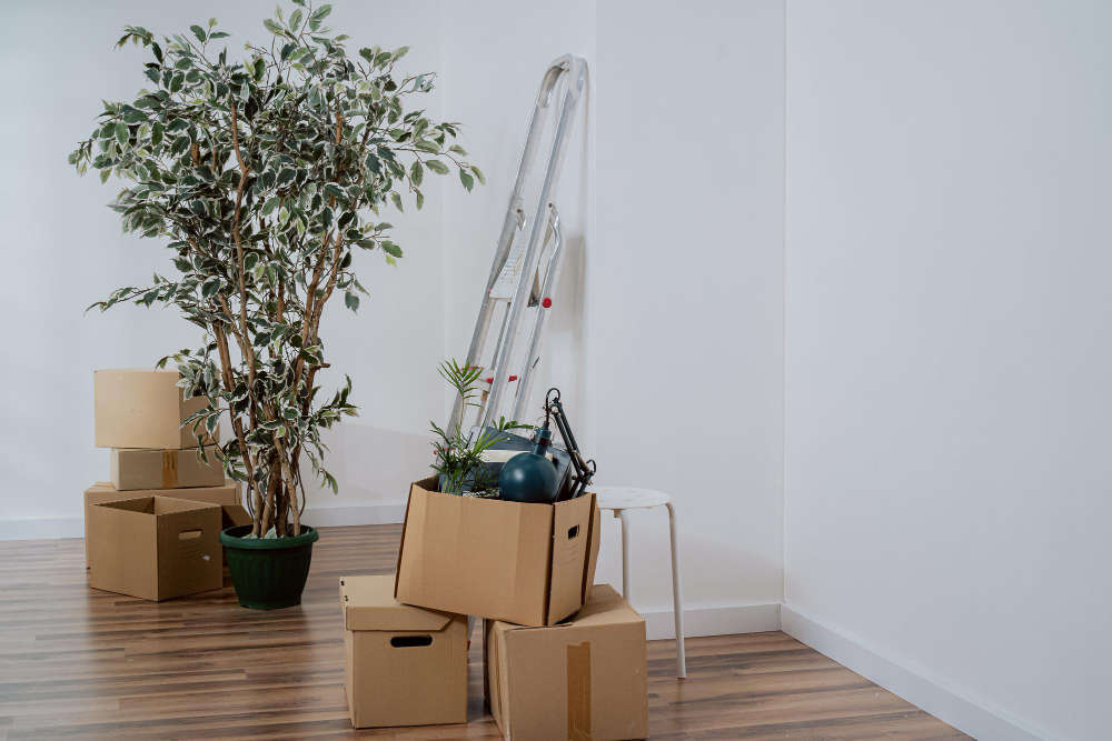 mudanza con plantas