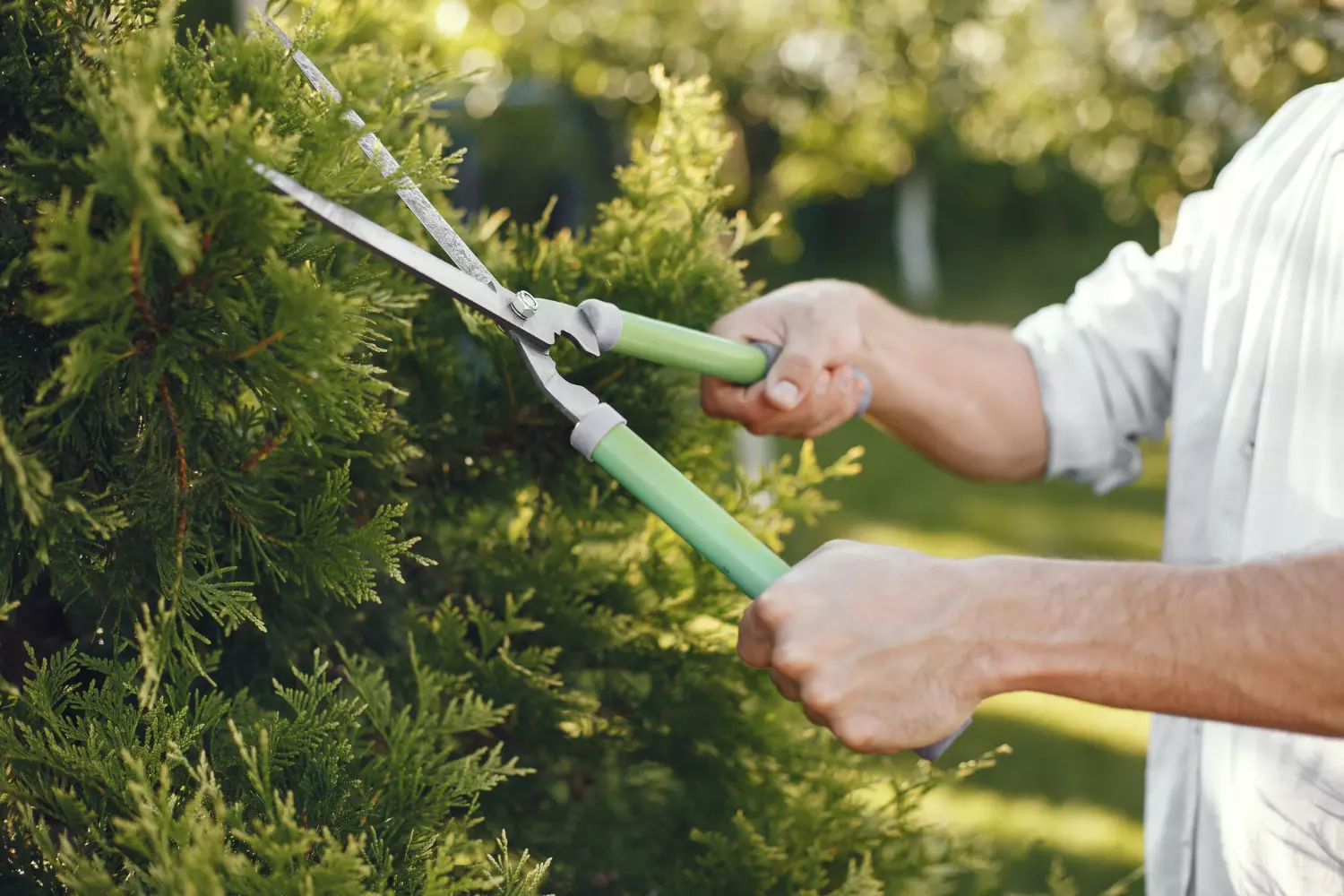 Mantenimiento de jardines