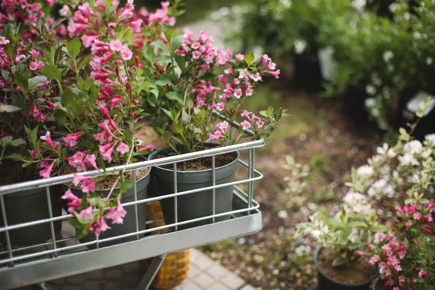 Jardines pequeños