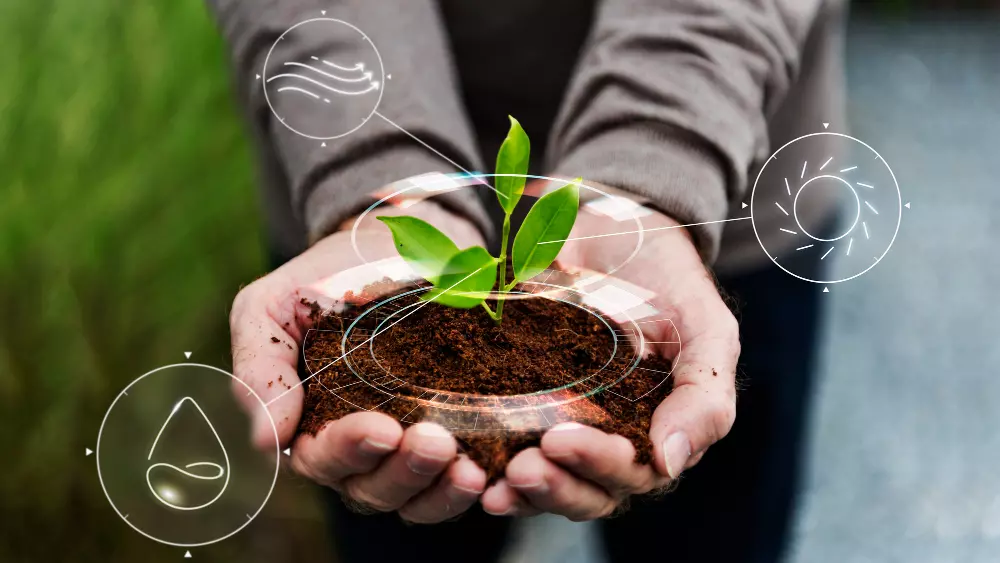 cómo hacer un jardín sostenible