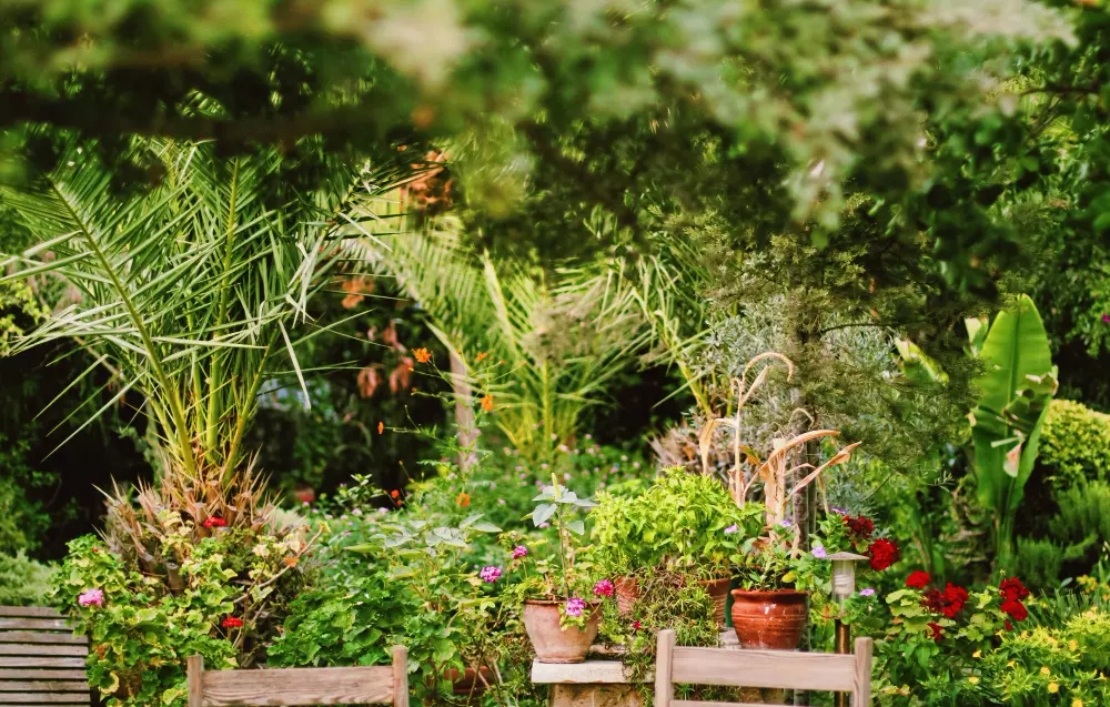 cómo hacer un jardín sostenible