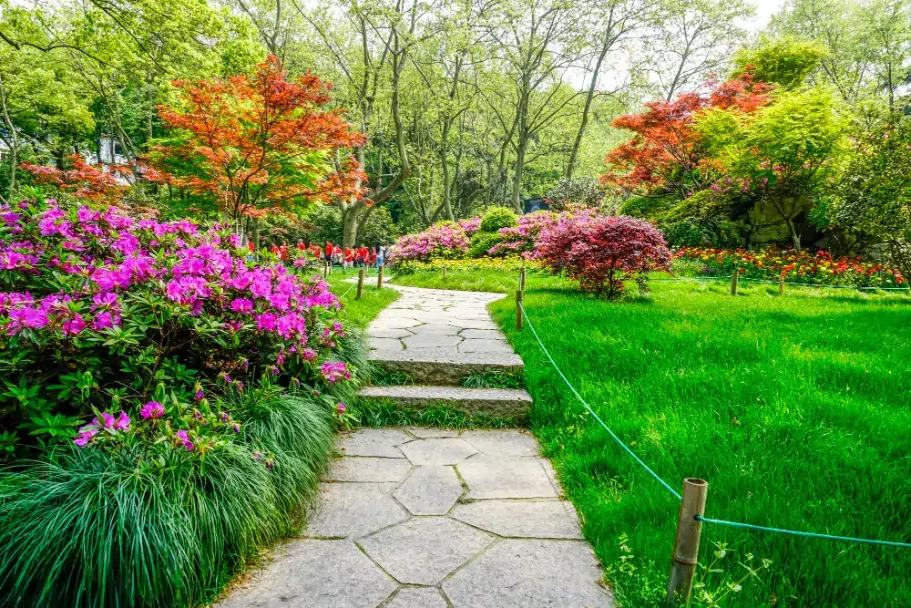 Preparación del jardín