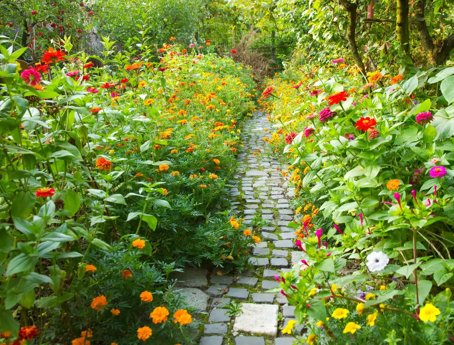 Preparación del jardín