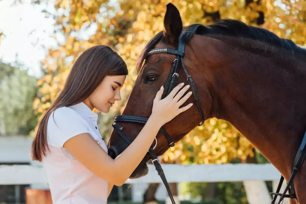 Propiedad y custodia de caballos en casos de divorcio