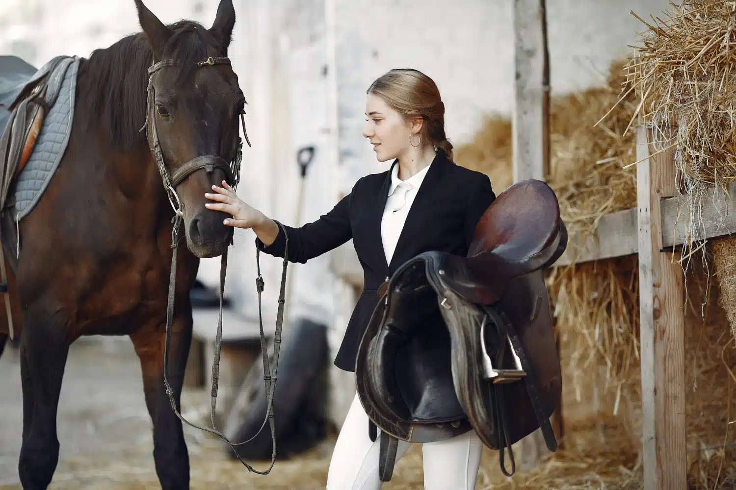 Cuál es el rol de los abogados de caballos