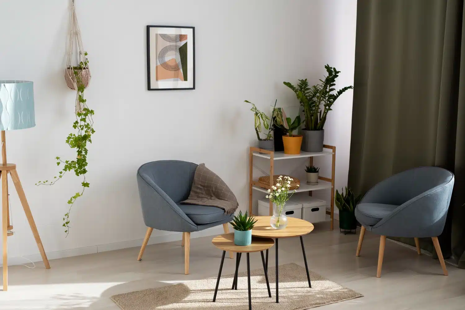 Cómo Utilizar Plantas para decorar y crear un salón más amplio y estilizado